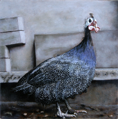 guinea fowl